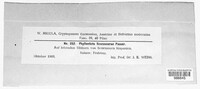 Image Associated With the Occurence